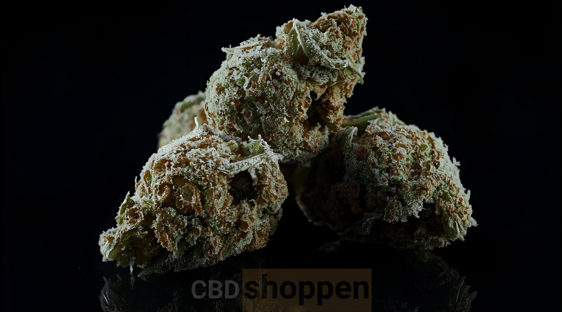 THCA topskud – premium kvalitet fra CBDshoppen™