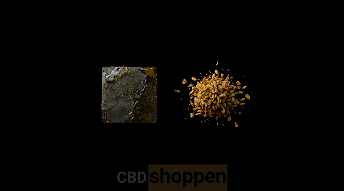 CBD hash vs. CBD blomster – hvad er forskellen?