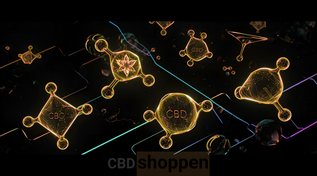 Guide til forståelse af cannabinoider: CBD, CBG, CBN, THCA (2025 Guide)