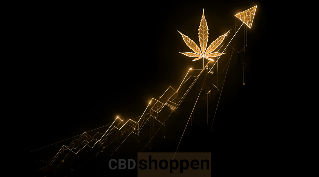 CBD markedet i Danmark i 2025 – trends, lovgivning og fremtid