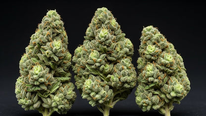 Wedding Cake 34% THCA