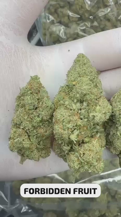 Forbidden Fruit 27% CBD