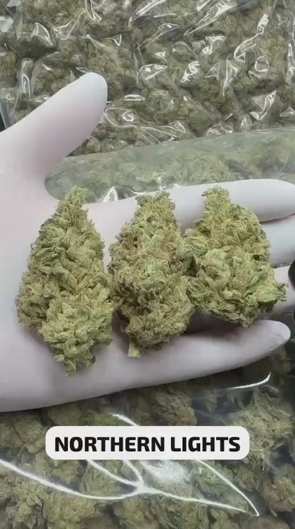 Northern Lights 24% CBD