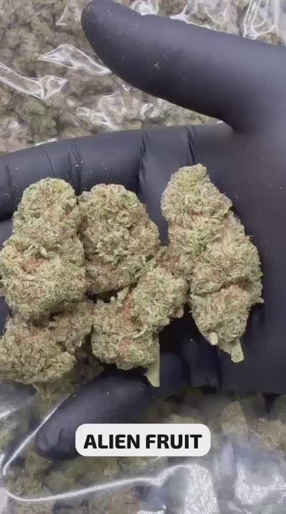 Alien Fruit 15% CBD