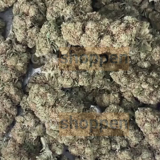 Critical+ CBD – Naturligt CBD topskud med mild citrusduft