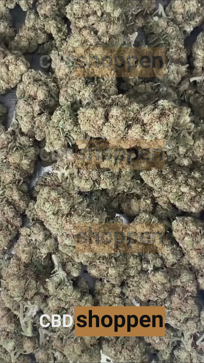 Critical+ CBD – Naturligt CBD topskud med mild citrusduft