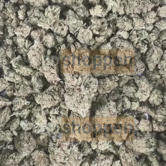 White Widow CBD – Klassisk CBD blomst med stærk terpeneprofil og 0% THC