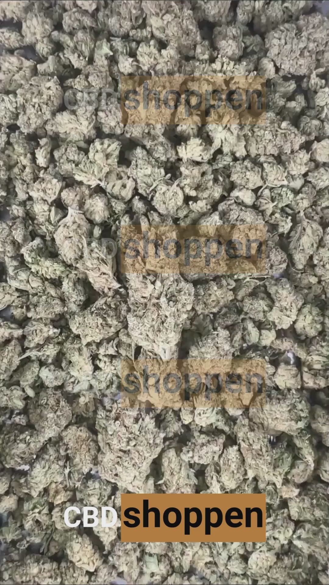 White Widow CBD – Klassisk CBD blomst med stærk terpeneprofil og 0% THC