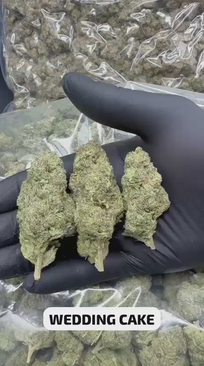 Wedding Cake 34% THCA