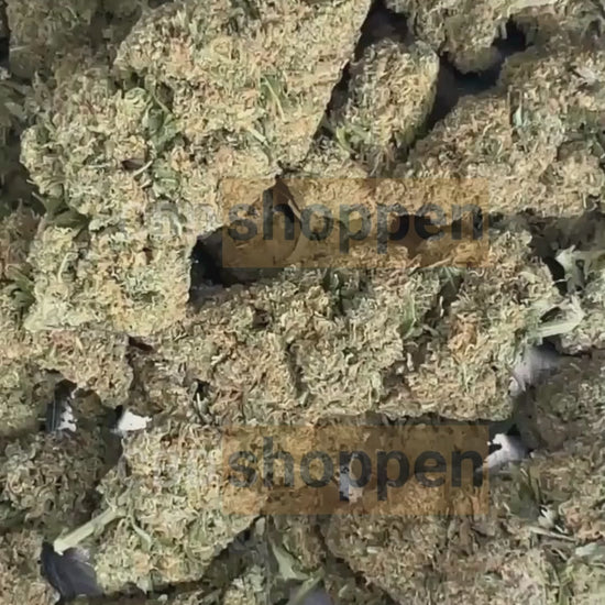 Biscotti CBD – Premium CBD blomst uden THC med sød aroma