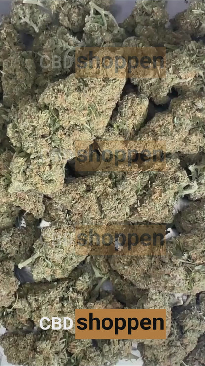 Biscotti CBD – Premium CBD blomst uden THC med sød aroma